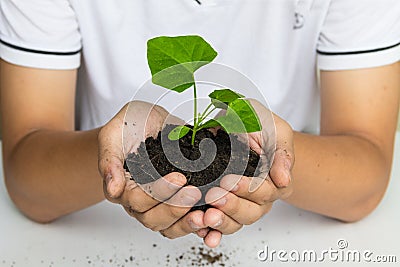 Hand holding a tree for giving life to the Earth Stock Photo