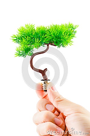 Hand holding tree growing on light bulb on white background Stock Photo