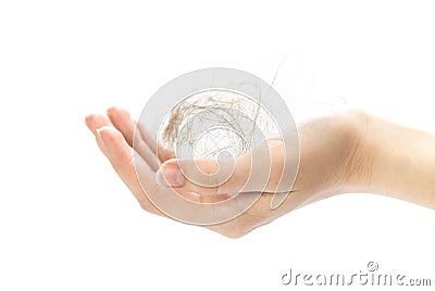 Hand holding a tuft of hair. Close up. Isolated on a white background Stock Photo