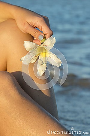 Hand holding white flower on the white sand beach and blue aqua sea background. vertical photo Stock Photo