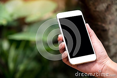A hand holding white smart phone with blank black desktop screen in outdoor with blur green nature background Stock Photo