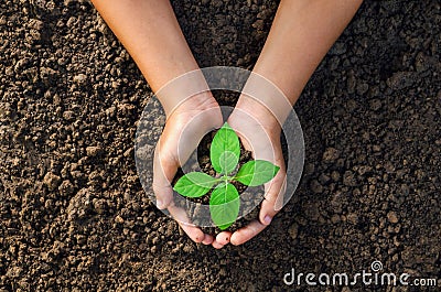 hand holding young plant for planting in soil concept green world Stock Photo