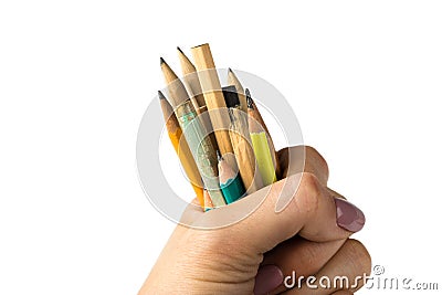 Hand holds many short pencils on white background Stock Photo