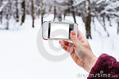 Hand holds phone with cutout screen in forest Stock Photo