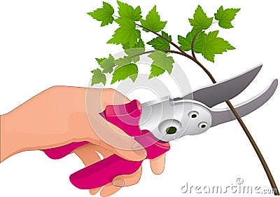 The hand holds the pruner Vector Illustration