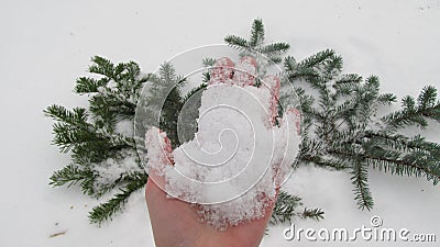 Hand holds snow Stock Photo