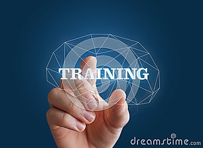 Hand insert the word training in the brain. Stock Photo