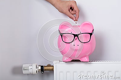 Hand Inserting Coin In Piggy Bank On Radiator Stock Photo