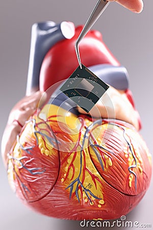 Hand inserting microchip into artificial heart mockup using tweezers closeup Stock Photo