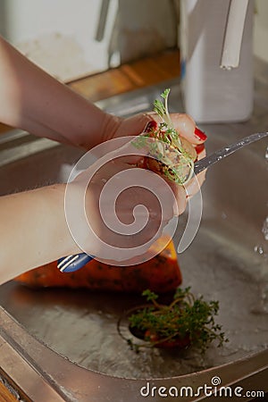 Finishing up last year carrot stocks Stock Photo