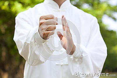 Hand of kung fu Stock Photo