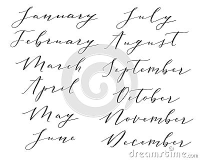 Hand lettered months. Vector Illustration