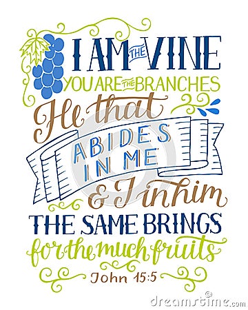 Hand lettering with bible verse I am the vine, you are the branches. Vector Illustration