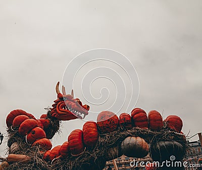 Hand-made decor with pumpkins figures of animals. Pumpkin dragon on halloween with nobody Stock Photo