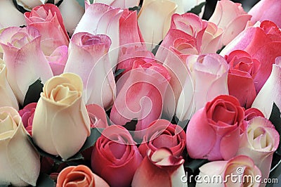 Hand made wooden roses Stock Photo