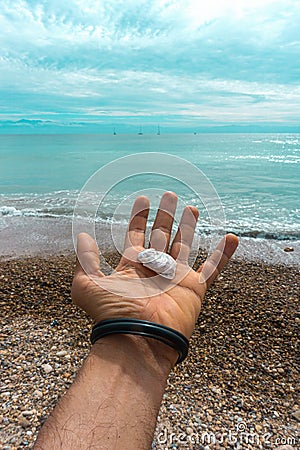 Hand Male Holding a Seashell Stock Photo