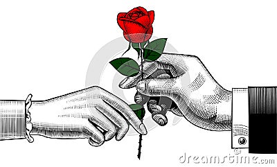 Hand of man give a red rose to woman Vector Illustration