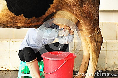 Hand milking Stock Photo
