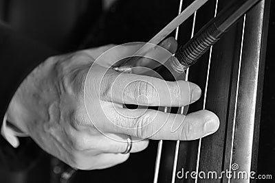 Hand of a musician playing on a contrabass closeup Black and white image Stock Photo