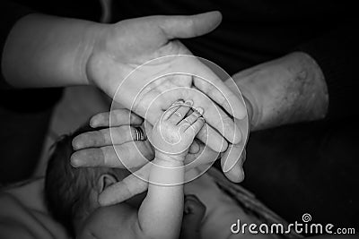 Hand of newborn baby and hands Stock Photo
