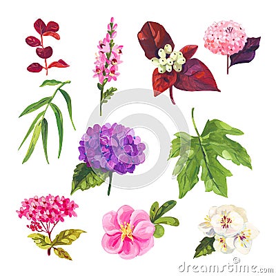 Hand painted acrylic or gouache floral elements set Stock Photo