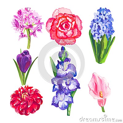 Hand painted acrylic or gouache floral elements set Stock Photo