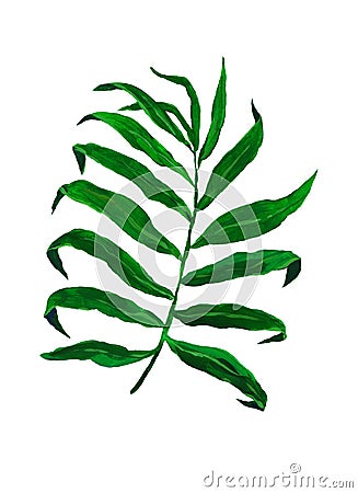 Tropical leaves. Poster or postcard design. Stock Photo