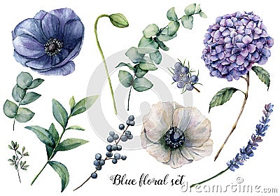 Hand painted blue floral elements. Watercolor botanical illustration with anemone, hydrangea flowers, lavender, juniper Cartoon Illustration