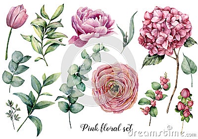 Hand painted floral elements. Watercolor botanical illustration with ranunculus, tulip, peony, hydrangea flowers Cartoon Illustration