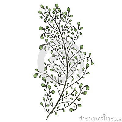 Hand painted with markers twig with green leaves Cartoon Illustration