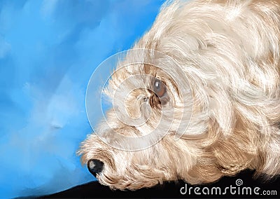 Hand painted portrait of a poodle dog Vector Illustration