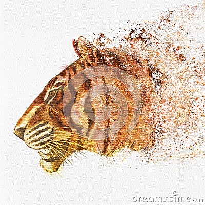 Hand Painted Tiger Head on paper Stock Photo