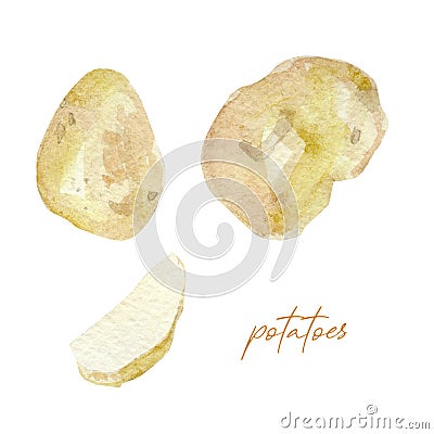Hand painted vegetable potatoes. Watercolor vegeterian food for design menu, veggie blog Stock Photo