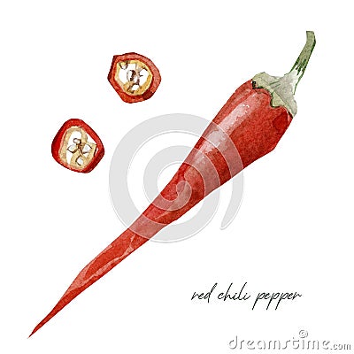 Hand painted vegetable red chili pepper. Watercolor vegeterian healthy food for design menu Stock Photo