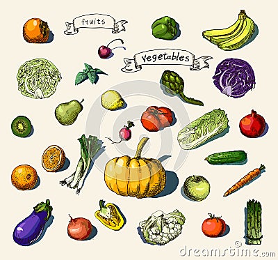 Hand-painted vegetables, fruits Cartoon Illustration