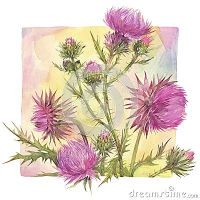 Floral composition with thistle field herbs. Cartoon Illustration