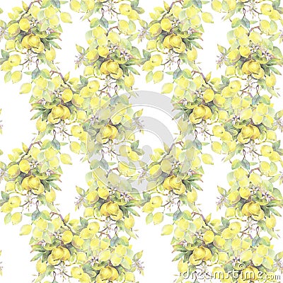 Hand painted watercolor illustration. seamless pattern with lemon tree branch elements. Cartoon Illustration