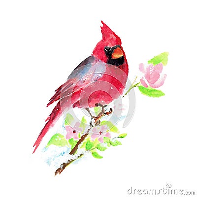 Hand Painted Watercolor Christmas Bird Vector Illustration Vector Illustration