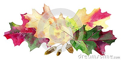 Hand painted watercolor mockup clipart template of autumn leaves Stock Photo