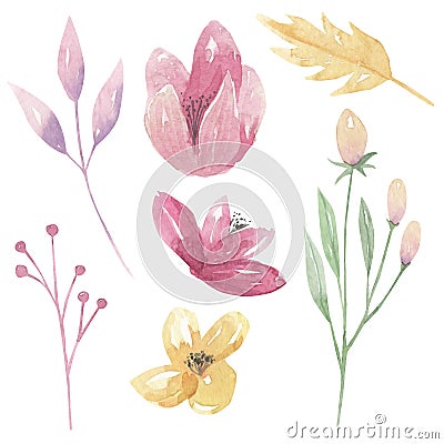 Watercolor Floral Pink Elements Berries Yellow Flowers Leaves Green Stock Photo