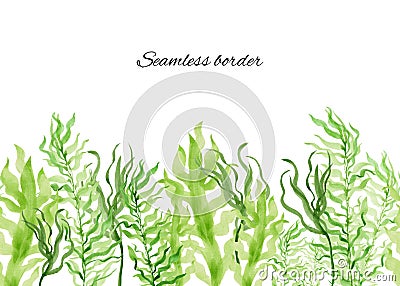 Hand-painted watercolor seamless border with seaweed of different types in shades of green Stock Photo