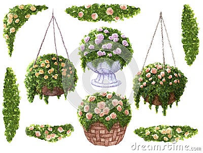 Hand painted watercolor set of roses in baskets and flourish borders with leaves isolated on white background Cartoon Illustration