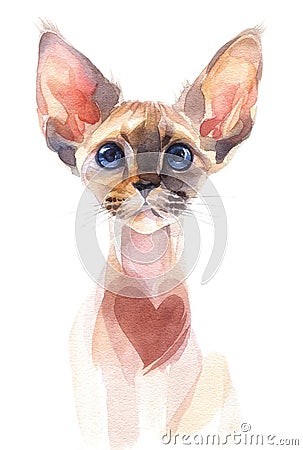 Hand painted watercolor. Siamese cat with heart on chest. Cartoon Illustration