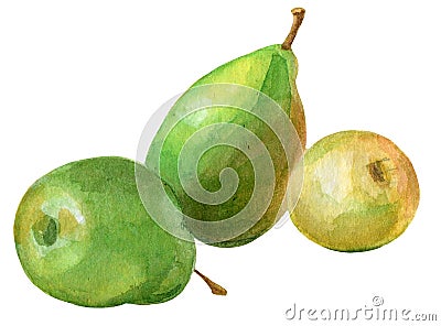 Hand painted watercolor yellow green fruits, apple and pears Stock Photo