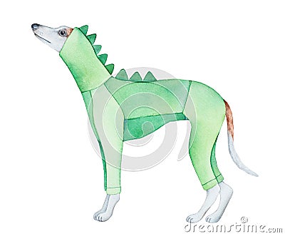 Cute whippet dog wearing funny hooded dinosaur onesie. Standing profile view. Stock Photo