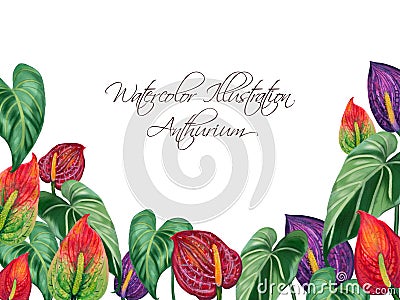 Hand painting watercolor illustrationinspired by anthurium and caladium and peace lily plants greeting template layout frame Cartoon Illustration