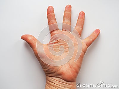 Hand palm on white background. Raised up hand palm to the viewer. Vote sign asking for help. Fortune telling on the Stock Photo