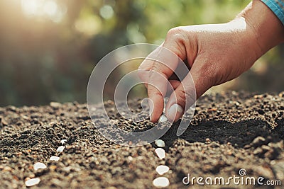 hand planting pumpkin seed in the vegetable garden and light warm. agriculture Stock Photo