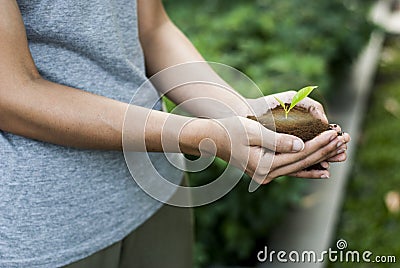 The hand that is planting trees to grow Help the world, environmental problems, protect nature The concept of world love Stock Photo