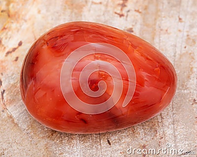 Hand polished Carnelian stone from Brazil on Natural Polished Petrified wood slab Stock Photo